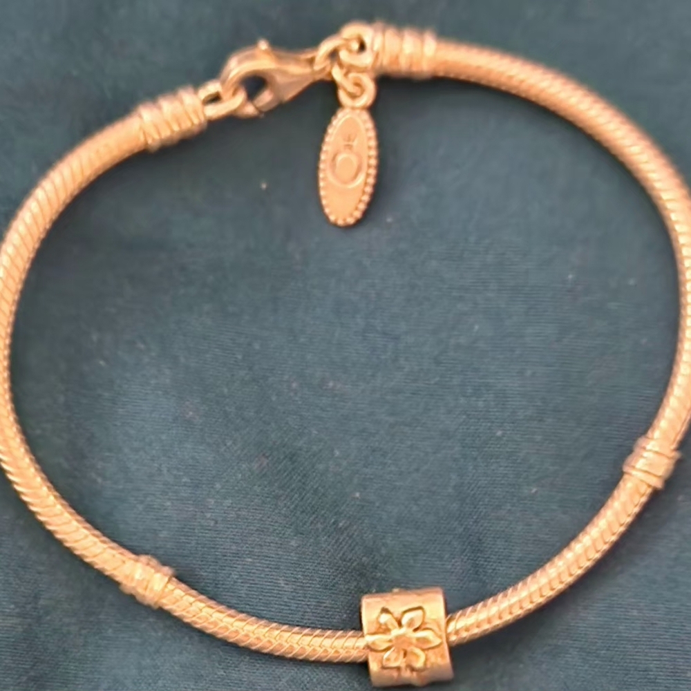 Pandora Bracelet with Charm
